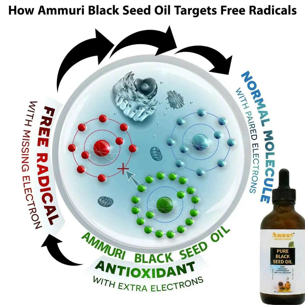 Diagram explaining how Ammuri organic black seed oil combats free radicals and enhances antioxidant protection
