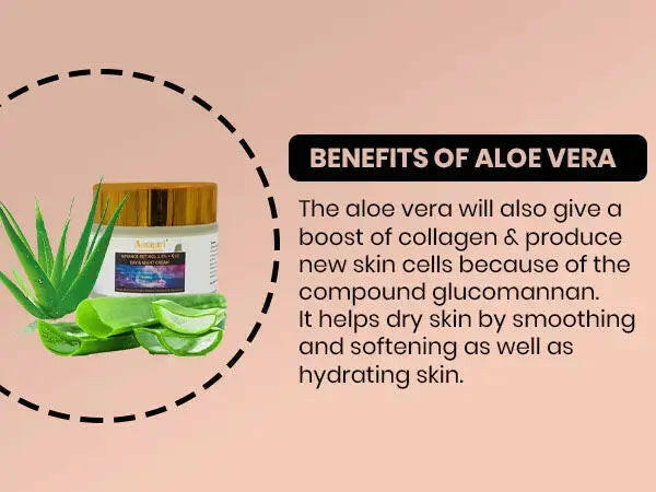 Ammuri Beauty Q10 face cream with aloe vera, promoting hydration and skin firming for day and night use.